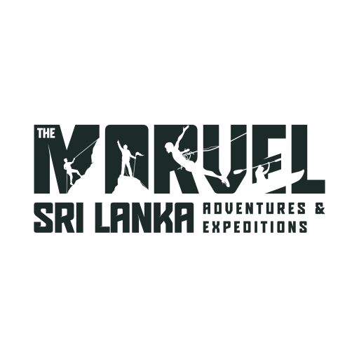 Marvel Adventures logo